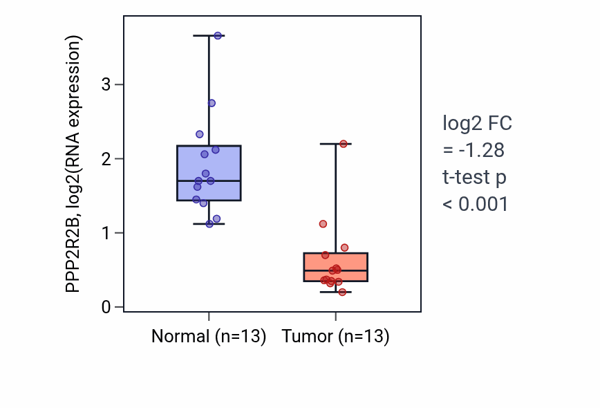Tumor-vs-normal expression box plot for PPP2R2B RNA in KIRC.