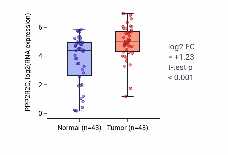 Tumor-vs-normal expression box plot for PPP2R2C RNA in HNSC.
