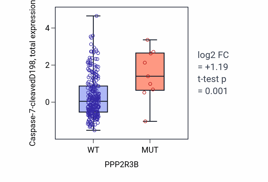 Box plot of Caspase-7-cleavedD198 in PPP2R3B-low vs PPP2R3B-high samples in STAD.