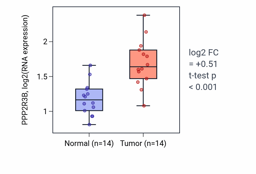 Tumor-vs-normal expression box plot for PPP2R3B RNA in KIRC.