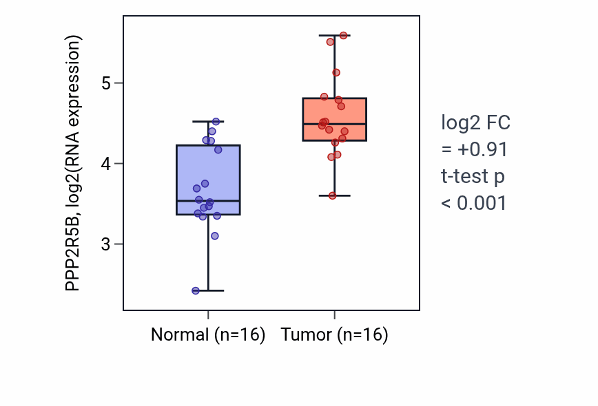 Tumor-vs-normal expression box plot for PPP2R5B RNA in HNSC.