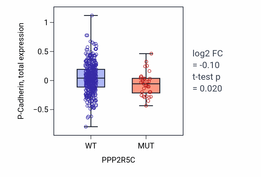 Box plot of P-Cadherin in PPP2R5C-low vs PPP2R5C-high samples in UCEC.
