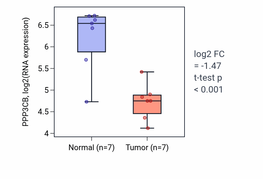 Tumor-vs-normal expression box plot for PPP3CB RNA in BLCA.