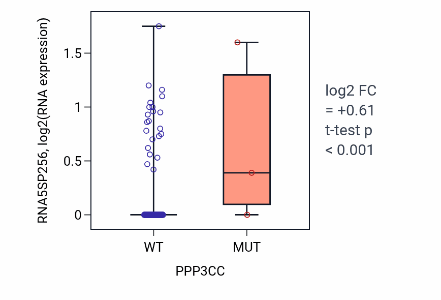 Box plot of RNA5SP256 in PPP3CC-low vs PPP3CC-high samples in BLCA.