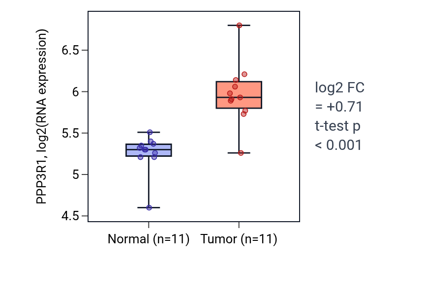 Tumor-vs-normal expression box plot for PPP3R1 in HNSC.