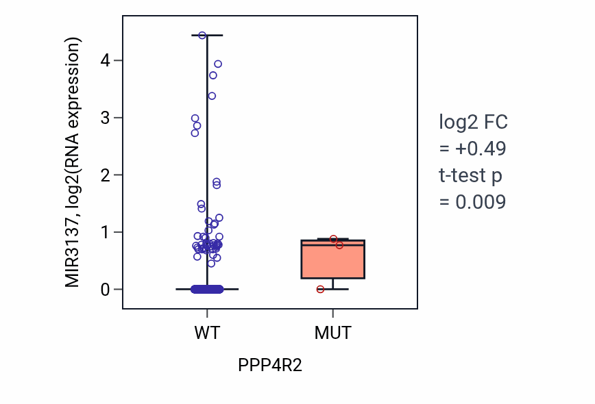 Box plot of MIR3137 in PPP4R2-low vs PPP4R2-high samples in BRCA.