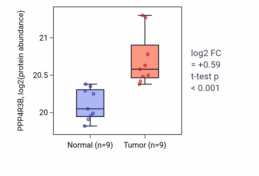 Tumor-vs-normal mass-spec protein box plot for PPP4R3B in COAD.