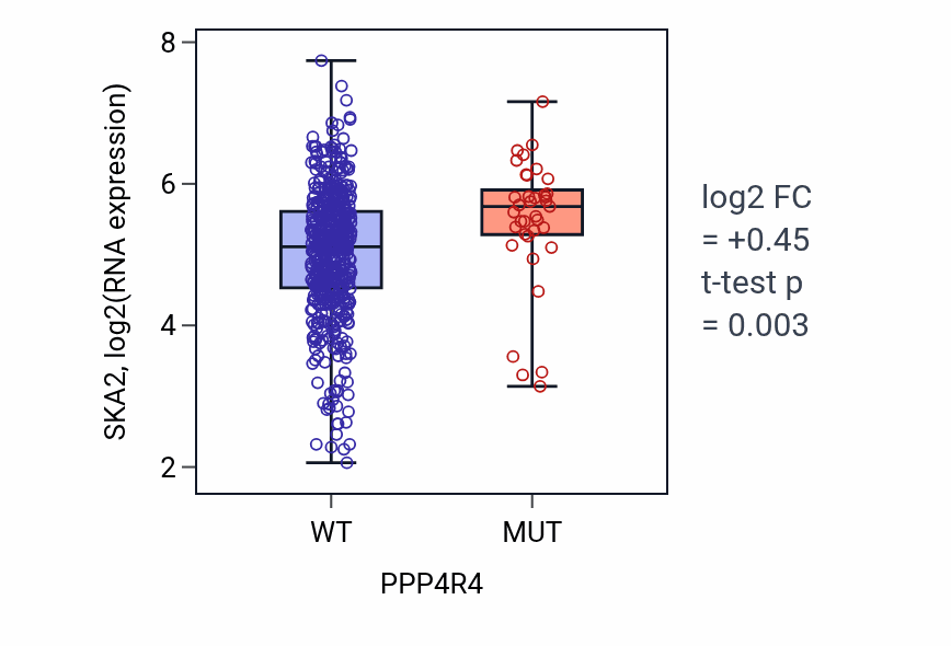 Box plot of SKA2 in PPP4R4-low vs PPP4R4-high samples in UCEC.