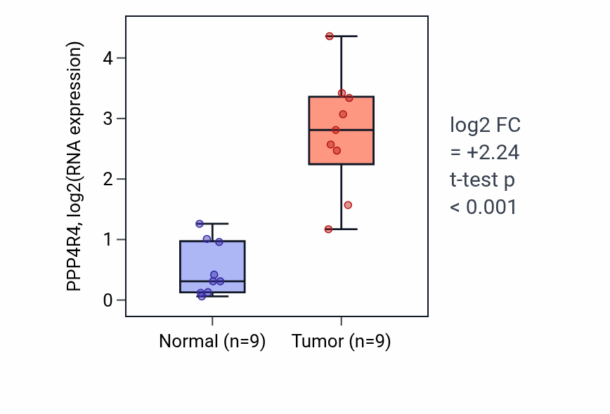 Tumor-vs-normal expression box plot for PPP4R4 RNA in HNSC.