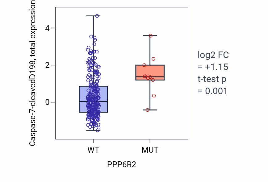 Box plot of Caspase-7-cleavedD198 in PPP6R2-low vs PPP6R2-high samples in STAD.
