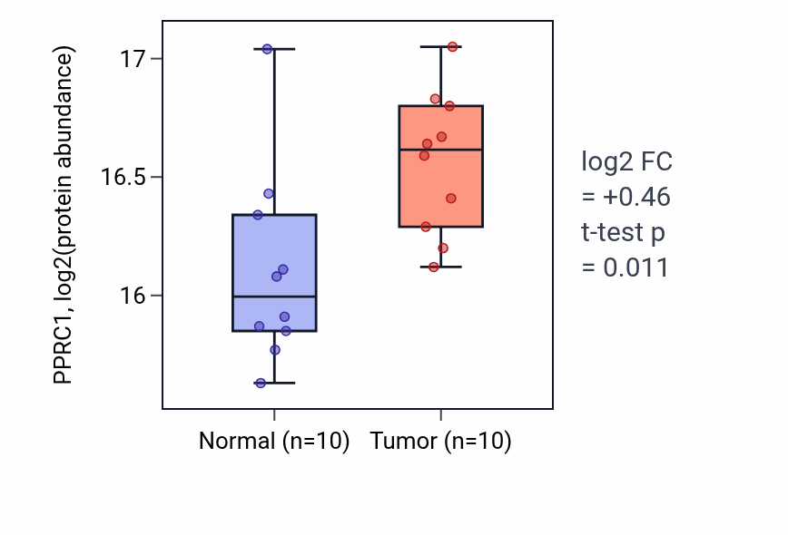 Tumor-vs-normal mass-spec protein box plot for PPRC1 in LSCC.