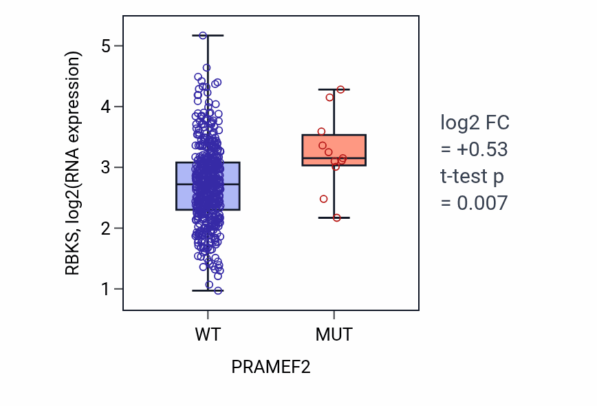 Box plot of RBKS in PRAMEF2-low vs PRAMEF2-high samples in LUAD.