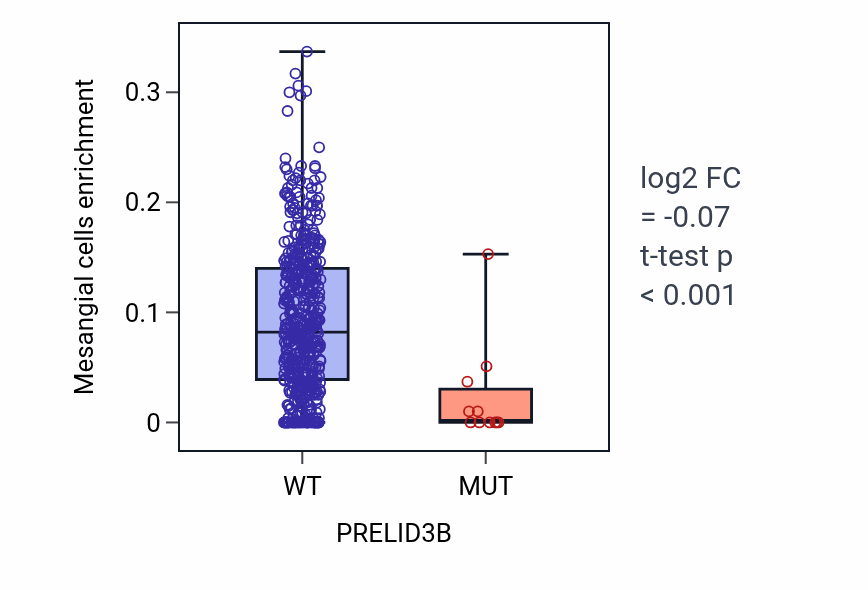 Box plot of Mesangial cells in PRELID3B-low vs PRELID3B-high samples in UCEC.