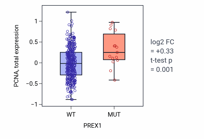 Box plot of PCNA in PREX1-low vs PREX1-high samples in COAD.