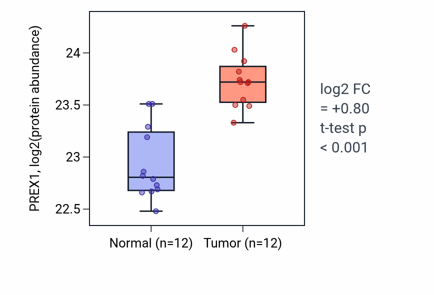 Tumor-vs-normal mass-spec protein box plot for PREX1 in CCRCC.