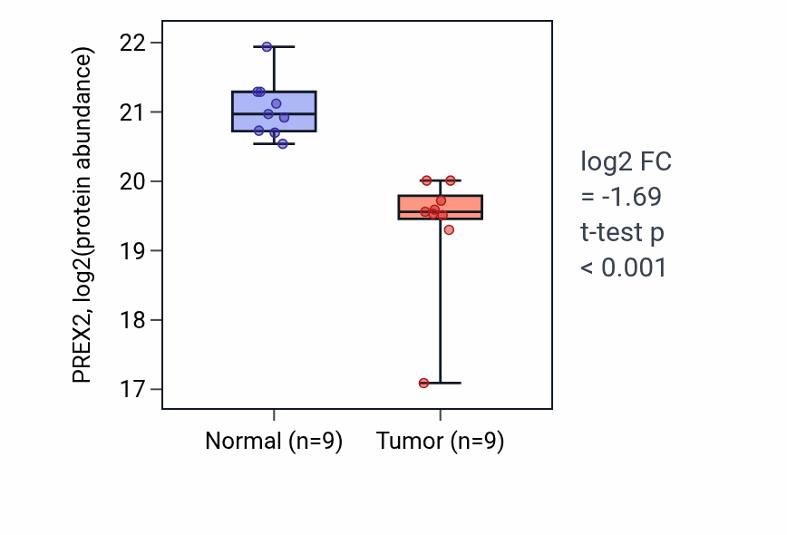 Tumor-vs-normal mass-spec protein box plot for PREX2 in LSCC.