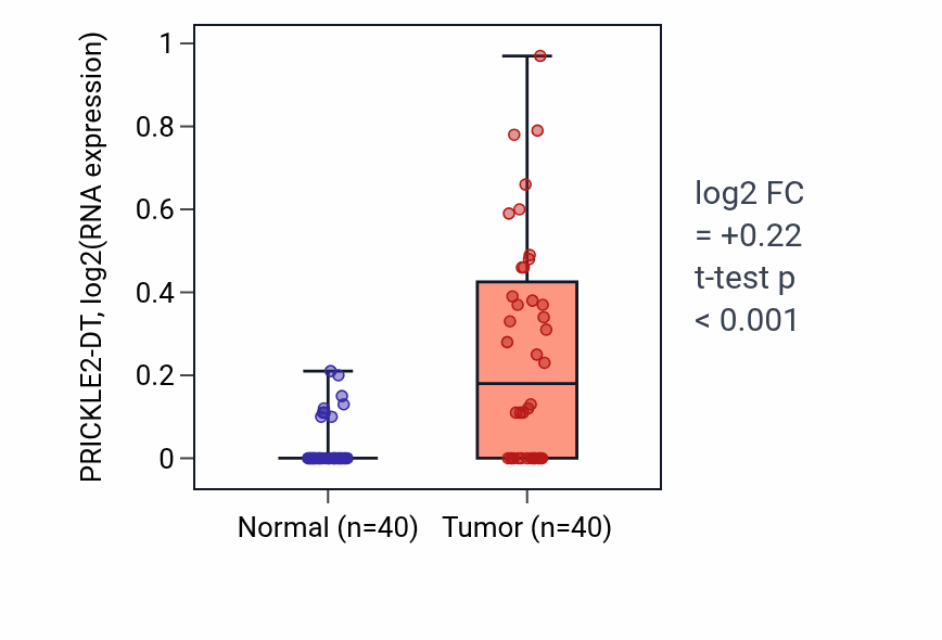 Tumor-vs-normal expression box plot for PRICKLE2-DT in HNSC.