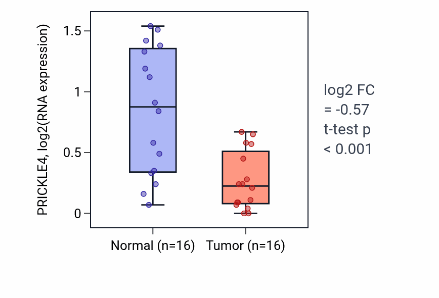 Tumor-vs-normal expression box plot for PRICKLE4 in HNSC.