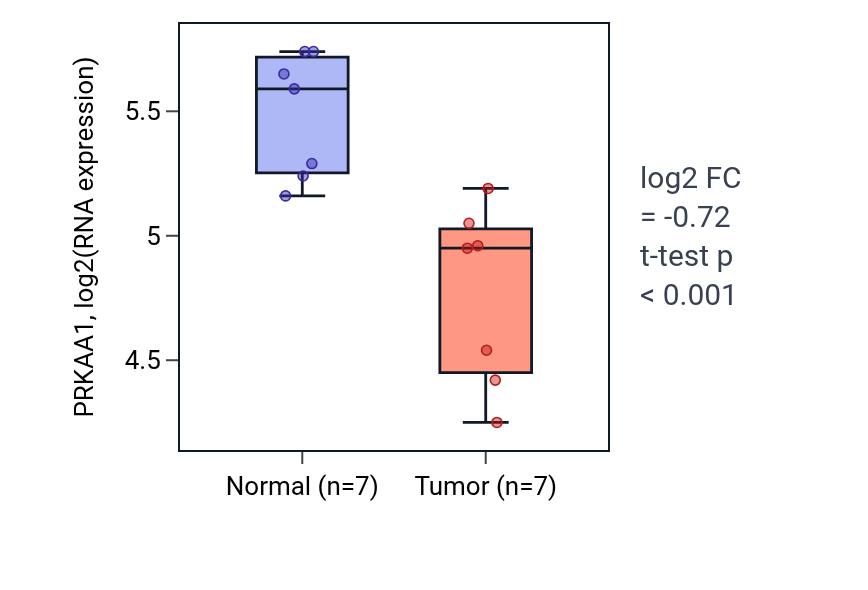 Tumor-vs-normal expression box plot for PRKAA1 in THCA.