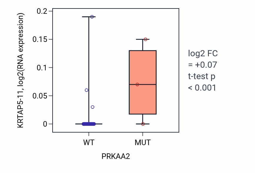 Box plot of KRTAP5-11 in PRKAA2-low vs PRKAA2-high samples in LUNG_NSCLC_LUAD.