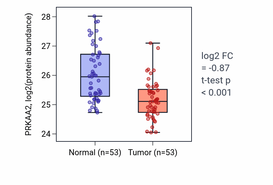 Tumor-vs-normal mass-spec protein box plot for PRKAA2 in HNSC.