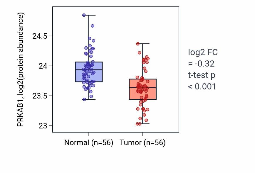 Tumor-vs-normal mass-spec protein box plot for PRKAB1 in HNSC.