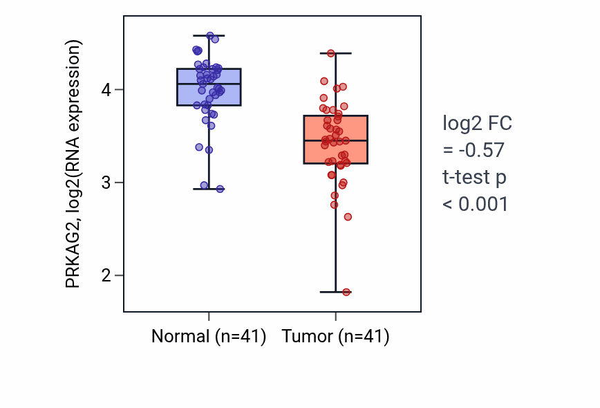 Tumor-vs-normal expression box plot for PRKAG2 RNA in THCA.