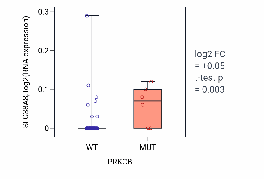 Box plot of SLC38A8 in PRKCB-low vs PRKCB-high samples in BLOOD_Lymphoma.