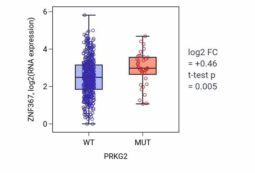 Box plot of ZNF367 in PRKG2-low vs PRKG2-high samples in UCEC.