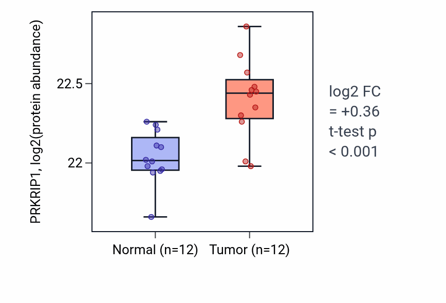 Tumor-vs-normal mass-spec protein box plot for PRKRIP1 in CCRCC.