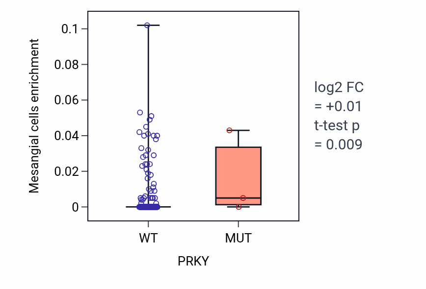 Box plot of Mesangial cells in PRKY-low vs PRKY-high samples in SKCM.