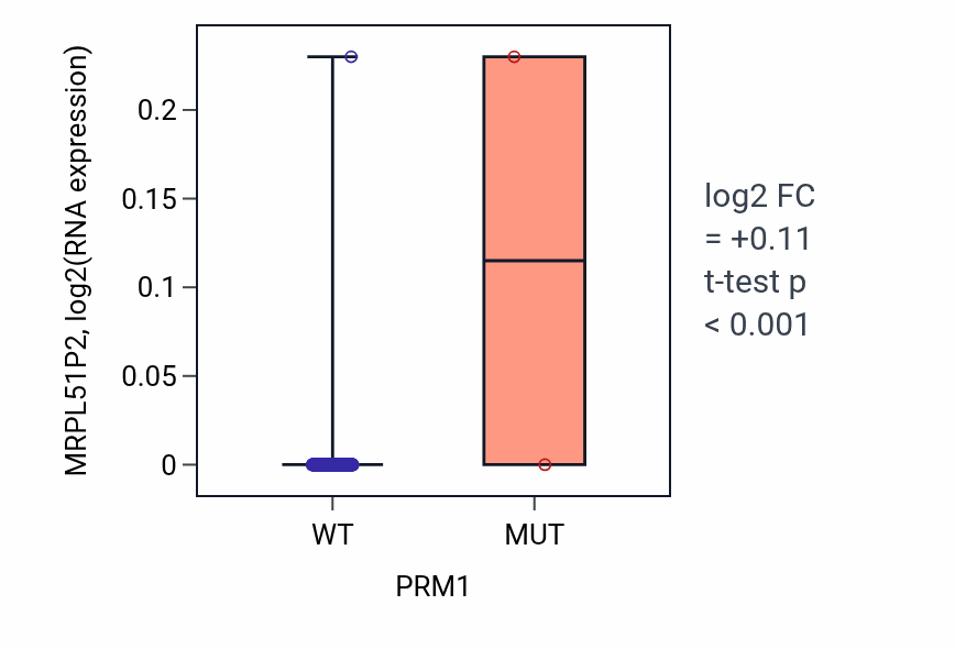 Box plot of MRPL51P2 in PRM1-low vs PRM1-high samples in BLCA.