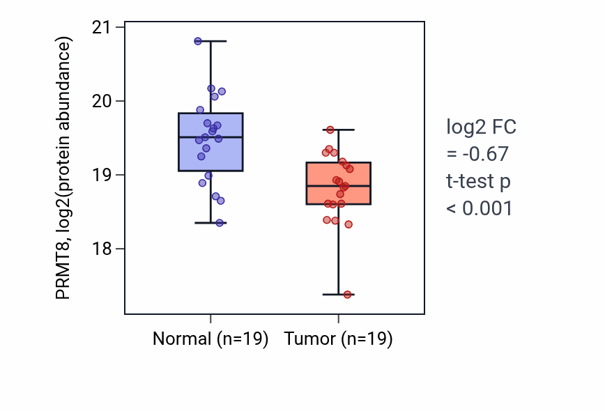 Tumor-vs-normal mass-spec protein box plot for PRMT8 in PDAC.