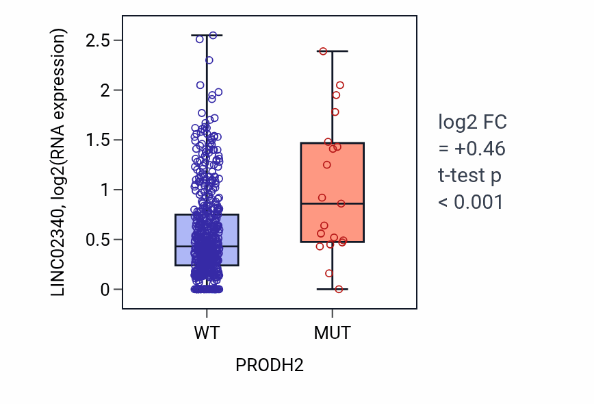 Box plot of LINC02340 in PRODH2-low vs PRODH2-high samples in UCEC.