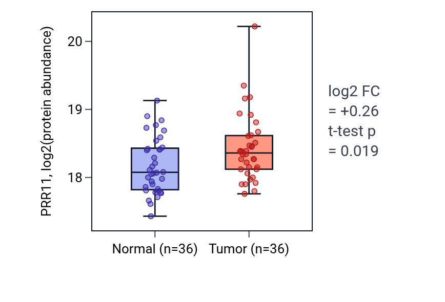 Tumor-vs-normal mass-spec protein box plot for PRR11 in LSCC.