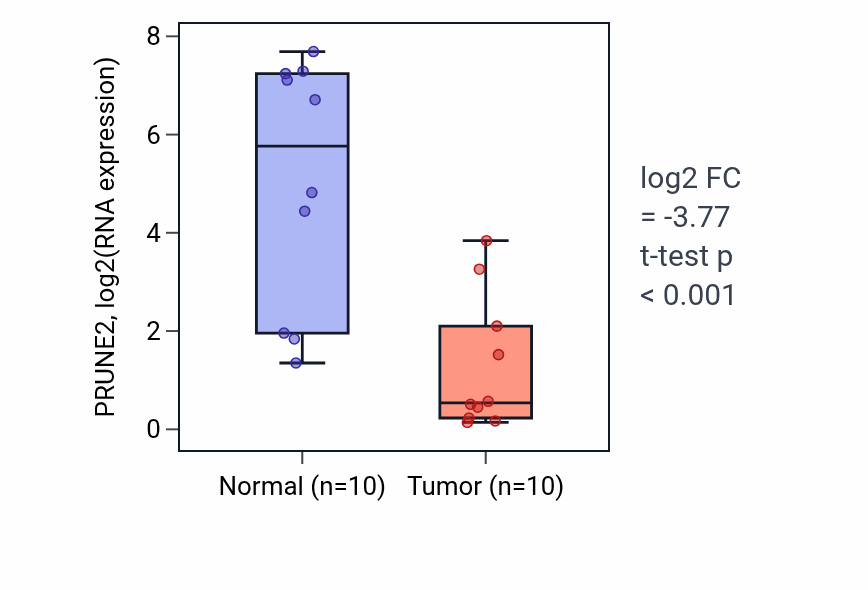 Tumor-vs-normal expression box plot for PRUNE2 RNA in BLCA.