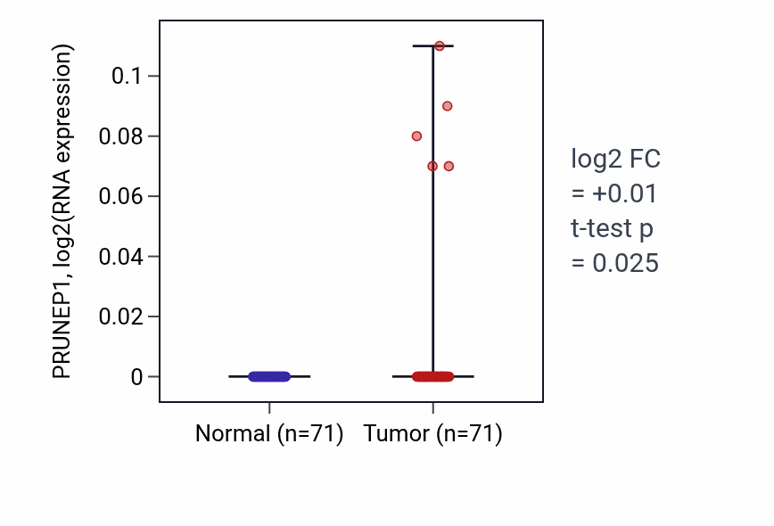 Tumor-vs-normal expression box plot for PRUNEP1 in KIRC.