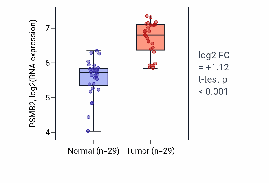 Tumor-vs-normal expression box plot for PSMB2 RNA in HNSC.