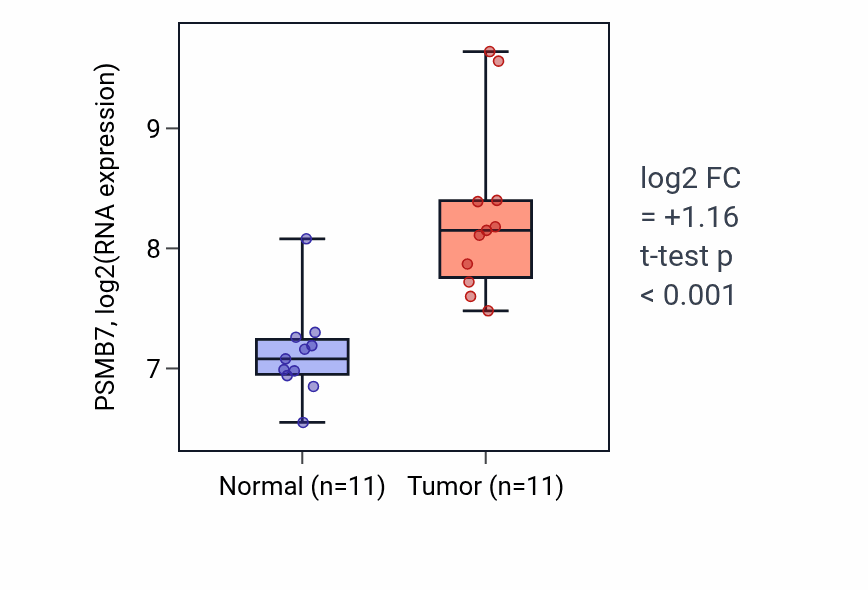 Tumor-vs-normal expression box plot for PSMB7 RNA in HNSC.