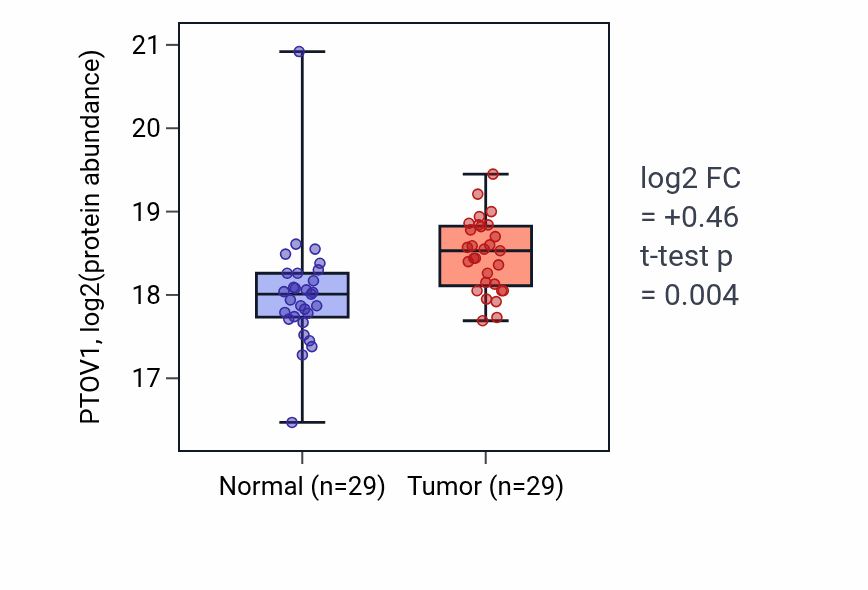 Tumor-vs-normal mass-spec protein box plot for PTOV1 in HNSC.