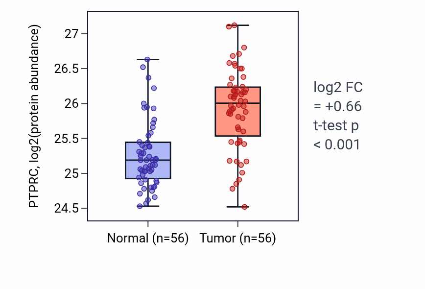 Tumor-vs-normal mass-spec protein box plot for PTPRC in HNSC.