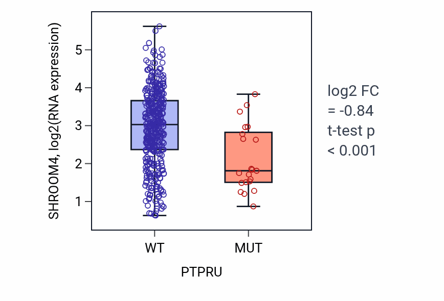 Box plot of SHROOM4 in PTPRU-low vs PTPRU-high samples in COAD.