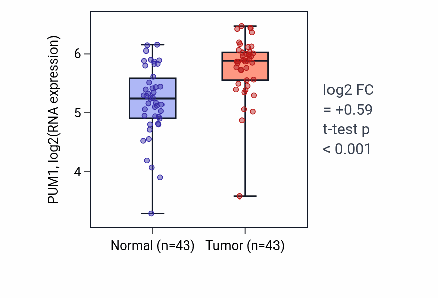Tumor-vs-normal expression box plot for PUM1 RNA in HNSC.