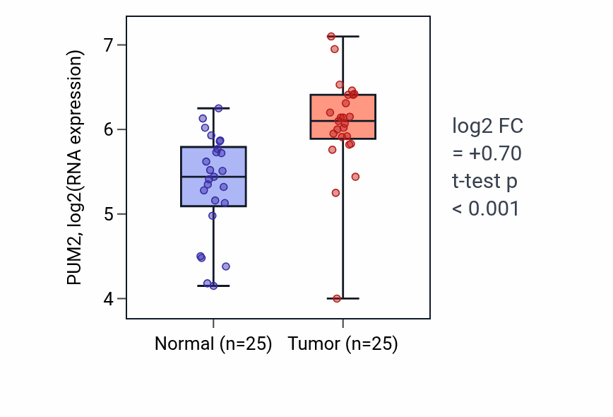 Tumor-vs-normal expression box plot for PUM2 RNA in HNSC.