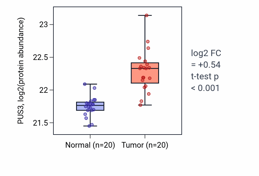 Tumor-vs-normal mass-spec protein box plot for PUS3 in LSCC.
