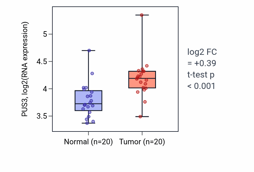 Tumor-vs-normal expression box plot for PUS3 RNA in KIRC.
