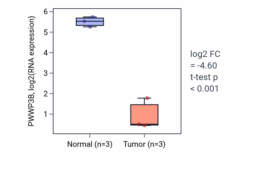 Tumor-vs-normal expression box plot for PWWP3B RNA in THCA.