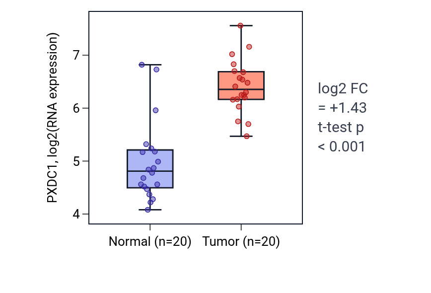 Tumor-vs-normal expression box plot for PXDC1 RNA in KIRC.