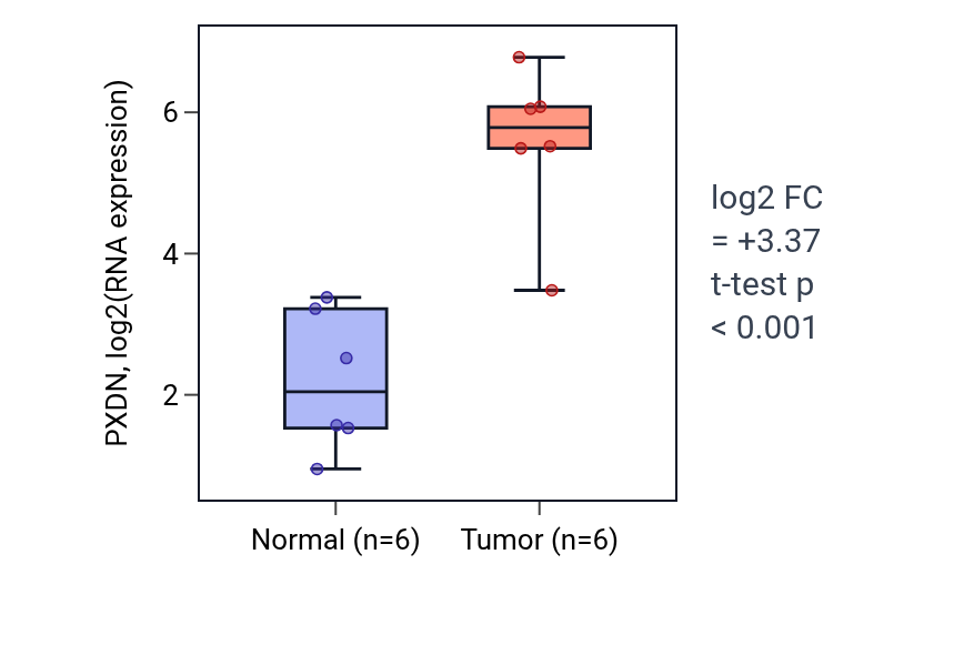Tumor-vs-normal expression box plot for PXDN in HNSC.
