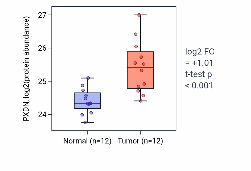 Tumor-vs-normal mass-spec protein box plot for PXDN in CCRCC.